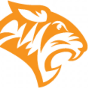 Tiger Global Management